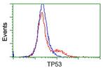 p53 Antibody in Flow Cytometry (Flow)