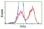 p53 Antibody in Flow Cytometry (Flow)