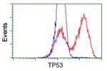 p53 Antibody in Flow Cytometry (Flow)