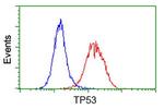 p53 Antibody in Flow Cytometry (Flow)