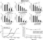 MBL2 Antibody in ELISA (ELISA)