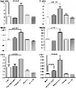 PRDX3 Antibody in Western Blot (WB)