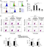 CD3e Antibody in Flow Cytometry (Flow)