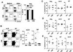 CD45 Antibody in Flow Cytometry (Flow)