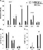 F4/80 Antibody in Flow Cytometry (Flow)