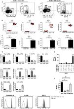 Mouse Hematopoietic Lineage Antibody in Flow Cytometry (Flow)