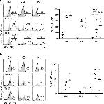 CD4 Antibody in Flow Cytometry (Flow)