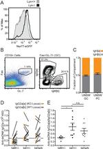 Mouse IgD Antibody in ELISA (ELISA)
