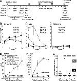 Baculovirus Envelope gp64 Antibody in ELISA (ELISA)