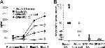 Baculovirus Envelope gp64 Antibody in ELISA (ELISA)