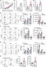 IL-22 Antibody in Flow Cytometry (Flow)