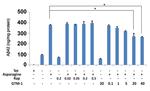 beta Amyloid Antibody in ELISA (ELISA)