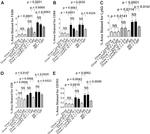 CD8 Antibody in Immunohistochemistry, Immunohistochemistry (Paraffin) (IHC, IHC (P))