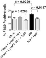 F4/80 Antibody in Flow Cytometry (Flow)