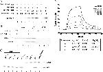 MIF Antibody in Western Blot (WB)