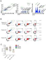 Glypican 1 Antibody in Flow Cytometry (Flow)