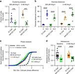 K-cadherin Antibody in Neutralization (Neu)