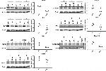 HSP70 Antibody in Western Blot (WB)