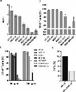 Transferrin Receptor Antibody in Flow Cytometry (Flow)