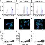 Transferrin Receptor Antibody in Flow Cytometry (Flow)