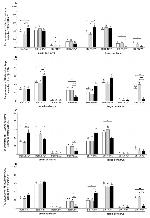 NPY Antibody in Immunohistochemistry (IHC)