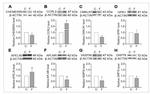 SERPINA12 Antibody in Western Blot (WB)