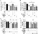 Thioredoxin 1 Antibody in Neutralization (Neu)