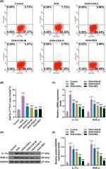 IL-17A Antibody in Flow Cytometry (Flow)