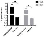 CD8 Antibody in Flow Cytometry (Flow)