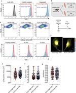 ITGA7 Antibody in Flow Cytometry (Flow)