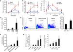 CD11c Antibody in Flow Cytometry (Flow)