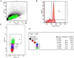 CD4 Antibody in Flow Cytometry (Flow)