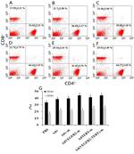 CD4 Antibody in Flow Cytometry (Flow)