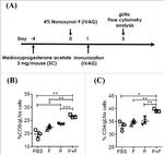 CD4 Antibody in Flow Cytometry (Flow)