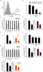CD41a Antibody in Flow Cytometry (Flow)