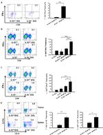 CD4 Antibody in Flow Cytometry (Flow)