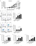 CD4 Antibody in Flow Cytometry (Flow)