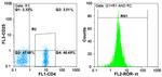 ROR gamma (t) Antibody in Flow Cytometry (Flow)