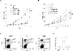 F4/80 Antibody in Flow Cytometry (Flow)