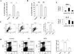 F4/80 Antibody in Flow Cytometry (Flow)