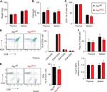 CD8a Antibody in Flow Cytometry (Flow)