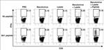 IFN gamma Antibody in Flow Cytometry (Flow)