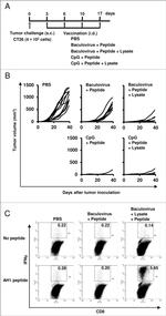IFN gamma Antibody in Flow Cytometry (Flow)