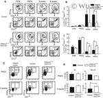 Ki-67 Antibody in Flow Cytometry (Flow)