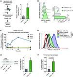 CD11b Antibody in Flow Cytometry (Flow)