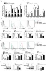 CD86 (B7-2) Antibody in Flow Cytometry (Flow)
