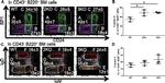 CD43 Antibody in Flow Cytometry (Flow)