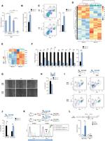 F4/80 Antibody in Flow Cytometry (Flow)