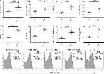 IFN gamma Antibody in Flow Cytometry (Flow)
