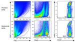 CD45 Antibody in Flow Cytometry (Flow)